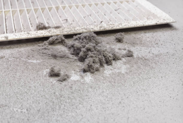 Best HVAC Air Duct Cleaning  in Irving, TX